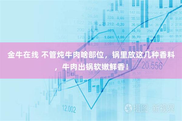 金牛在线 不管炖牛肉啥部位，锅里放这几种香料，牛肉出锅软嫩鲜香！