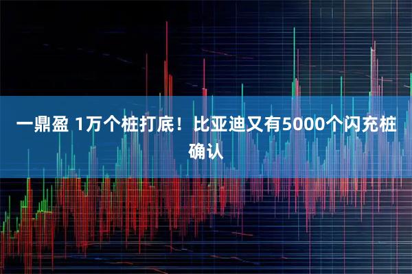 一鼎盈 1万个桩打底！比亚迪又有5000个闪充桩确认