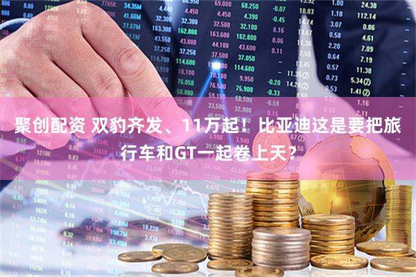 聚创配资 双豹齐发、11万起！比亚迪这是要把旅行车和GT一起卷上天？